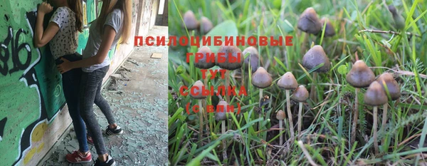 шишки Абинск