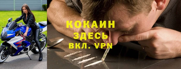 шишки Абинск